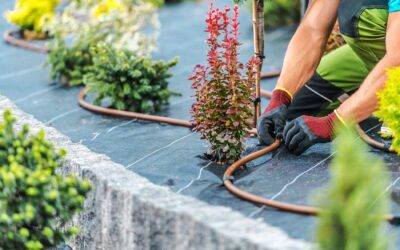 Opciones de sistemas de riego y selección de mangueras para el jardín