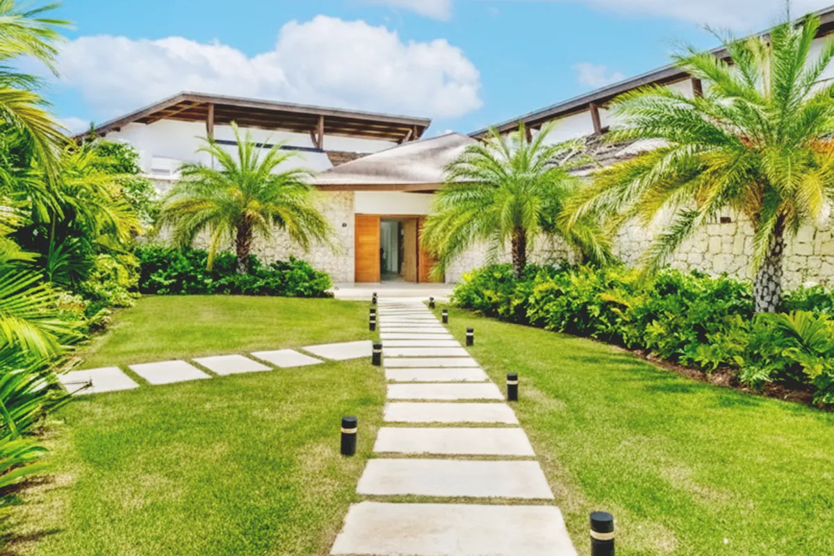 Batey 15 - contenido