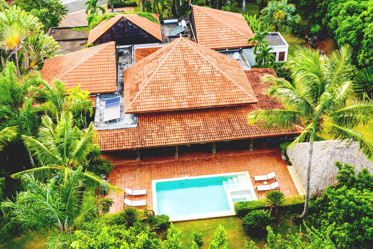 El ingenio - contenido