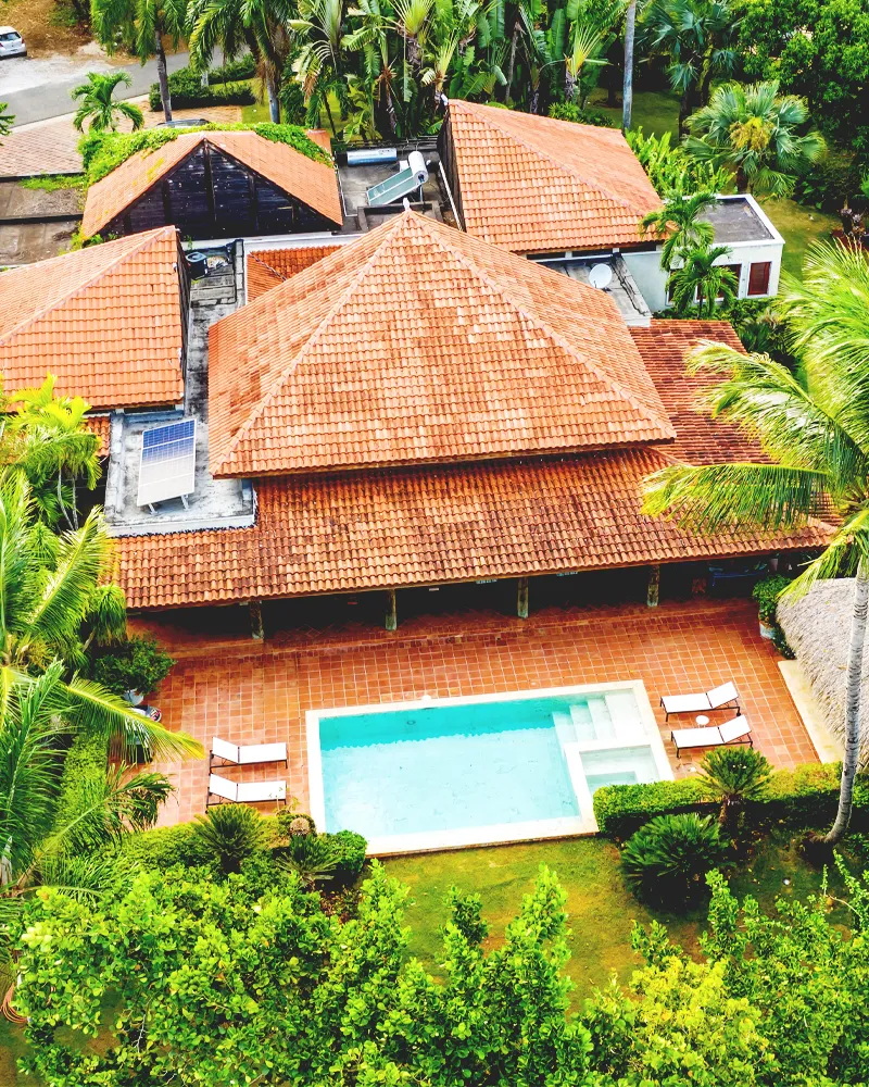 El ingenio - portada